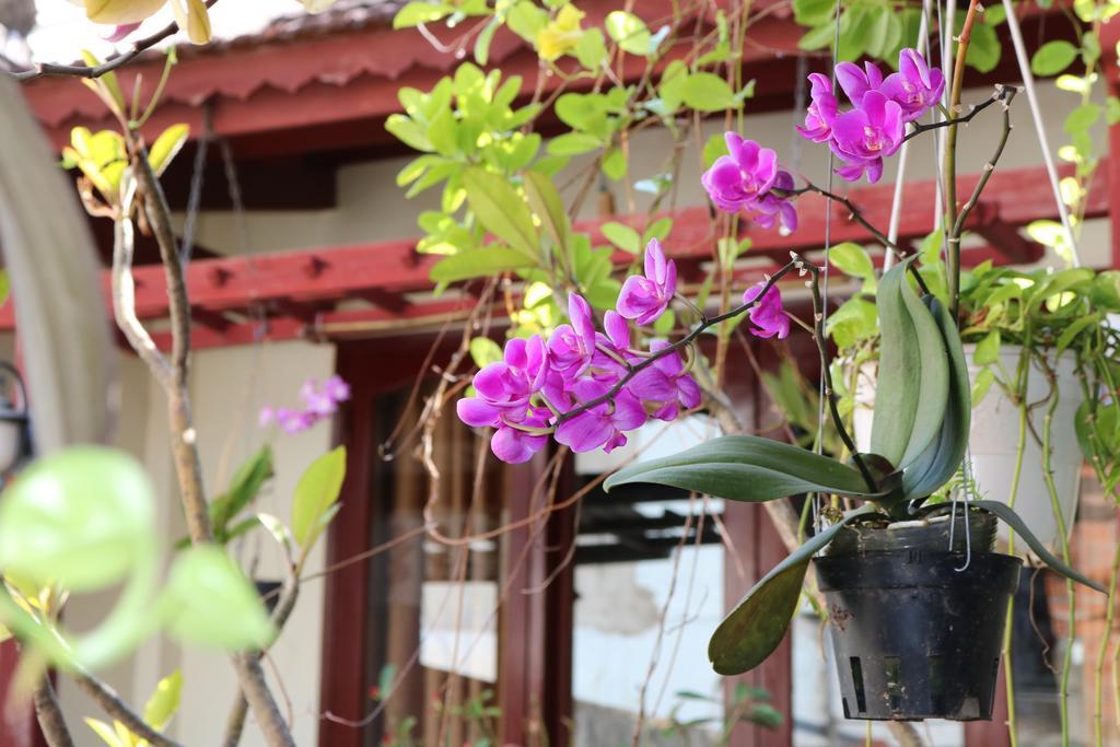 Nhi Trung Hotel Hoi An Eksteriør billede